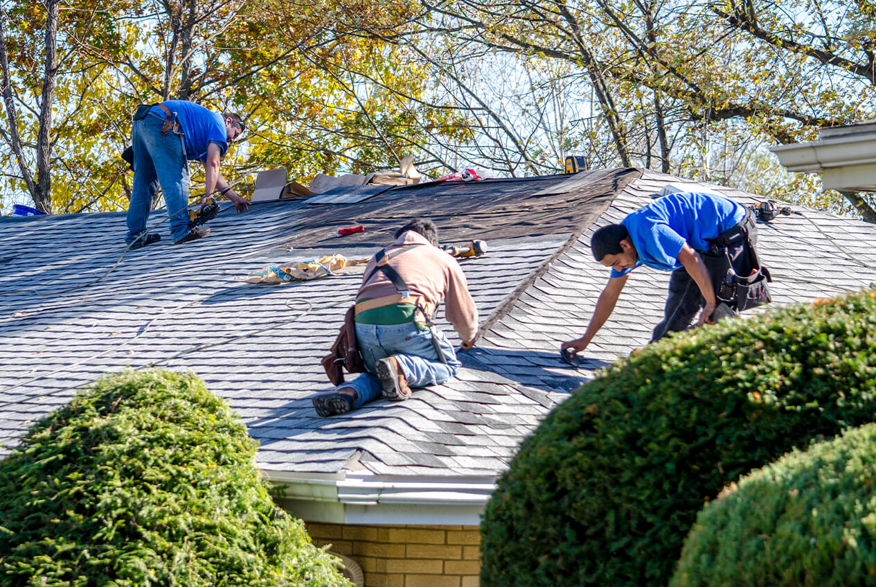 Real Estate Services